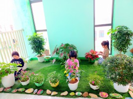TRƯỜNG MẦM NON KỲ HOA TỔ CHỨC CUỘC THI "XÂY DỰNG MÔI TRƯỜNG XANH - LỚP HỌC XANH"