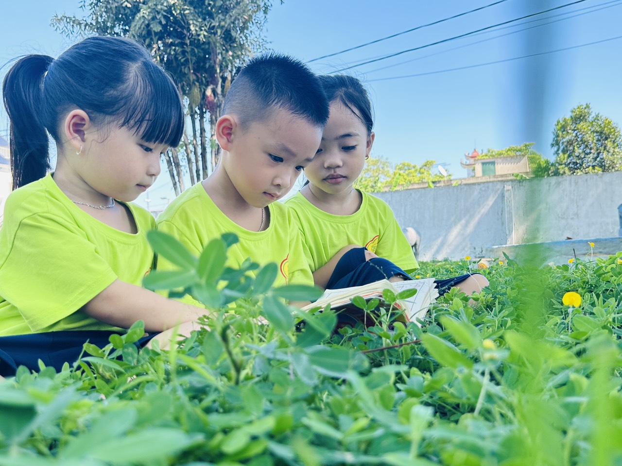"NGÀY HỘI ĐỌC SÁCH CÙNG BÉ" Ở TRƯỜNG MẦM NON KỲ HOA
